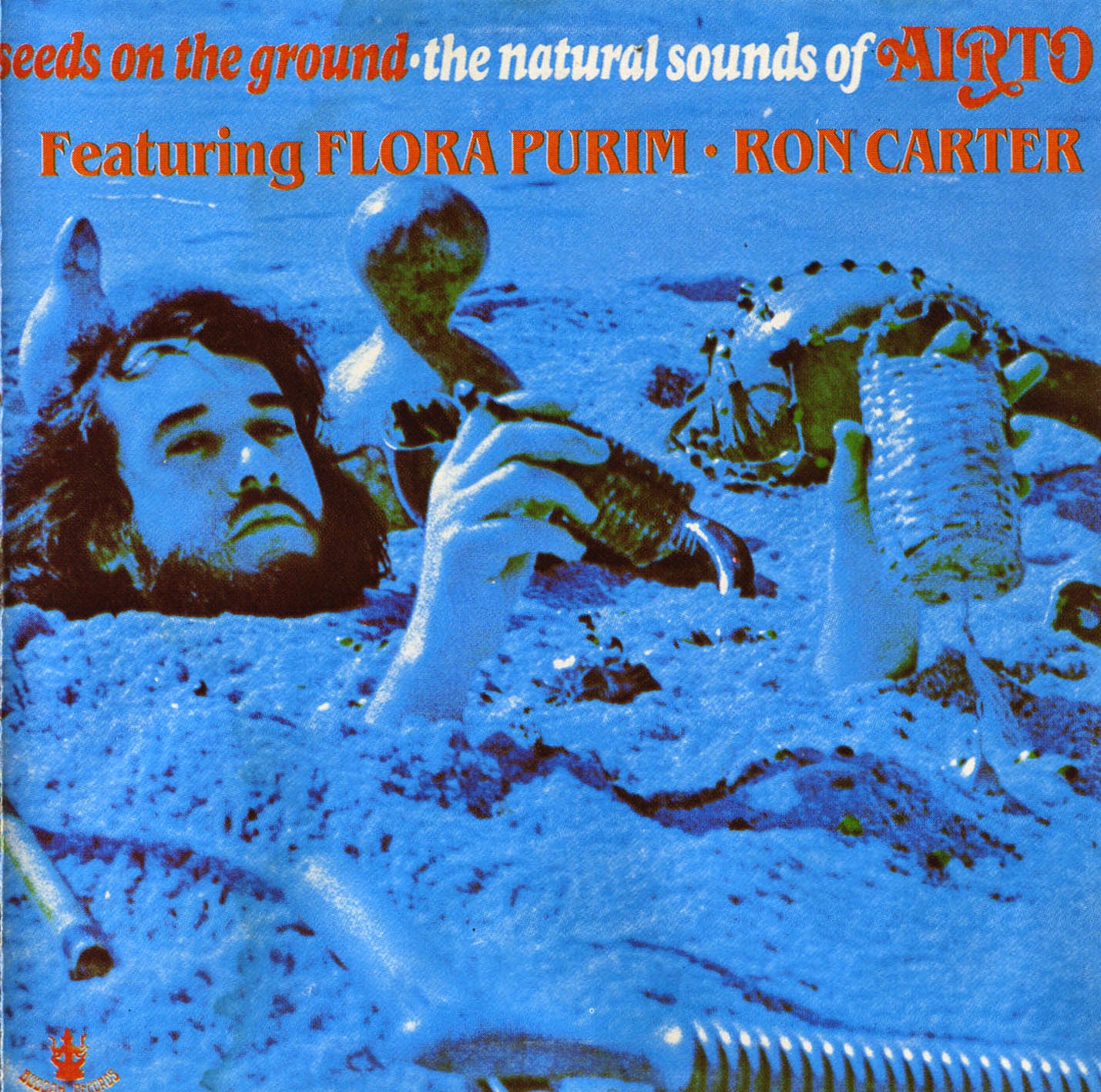 Airto-Moreira-Seeds-On-The-Ground-1971-Capa