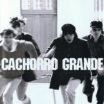 Cachorro Grande (2001)