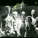 Camisa-De-VC3AAnus-Camisa-De-VC3AAnus-28198329