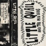 Little-Quail-And-The-Mad-Birds-Demo-28199229-1