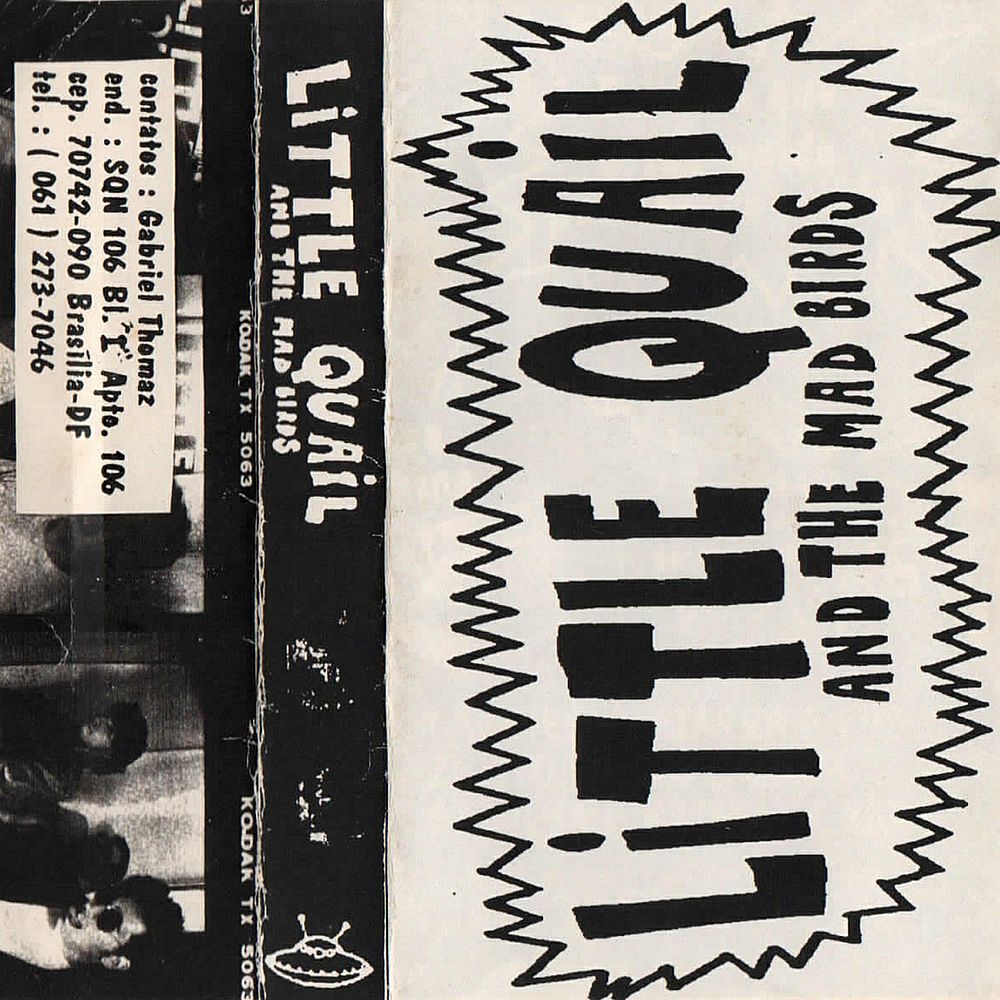 Little-Quail-And-The-Mad-Birds-Demo-28199229