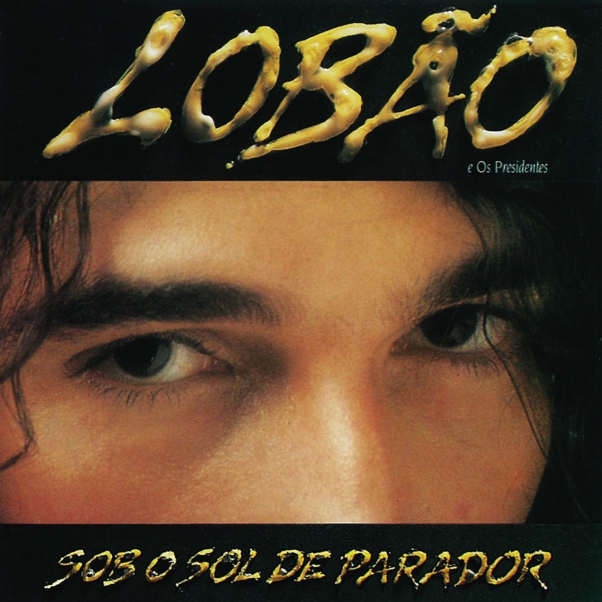 Lobao-Sob-O-Sol-De-Parador-28198929