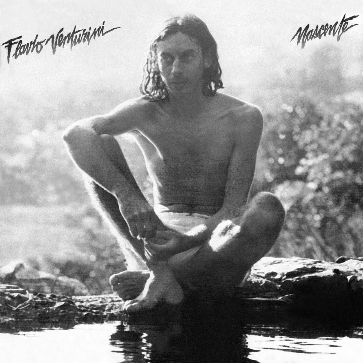 Flavio-Venturini-Nascente-1981