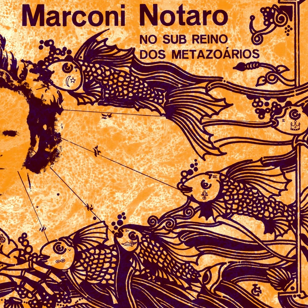 Marconi-Notaro-No-Sub-Reino-Dos-Metazoarios-1973