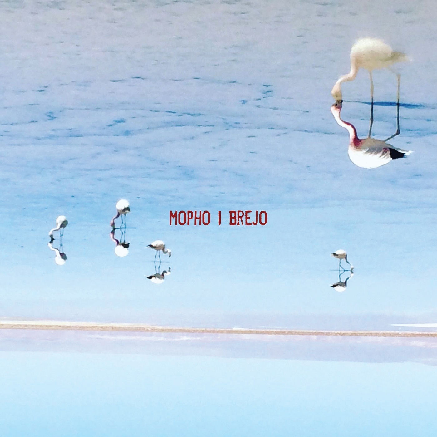 Mopho - Brejo (2017) 6d6f77ea422e