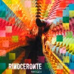 Rinoceronte - Nasceu (2010)