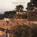 Picassos Falsos - Supercarioca (1988)