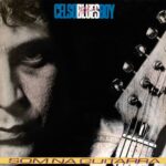 Celso Blues Boy - Som Na Guitarra (1984)